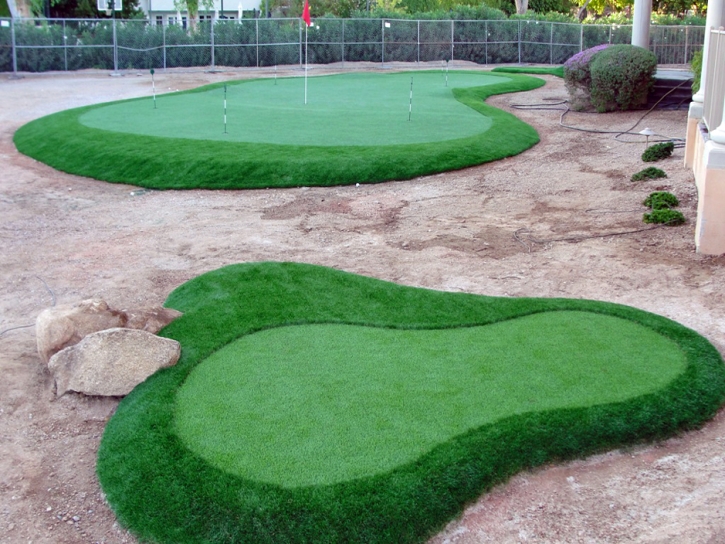 Best Artificial Grass Vineyard, California Home Putting Green, Front Yard Landscape Ideas