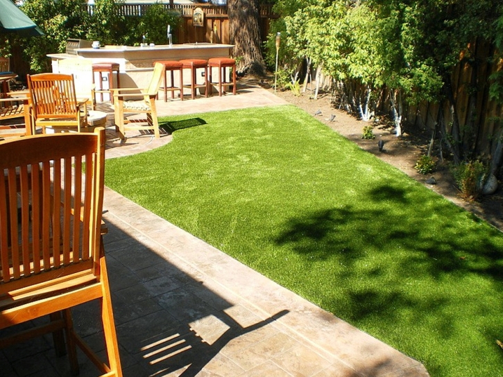 Fake Grass Carpet American Canyon, California Pet Grass, Backyard Landscape Ideas