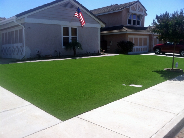 Fake Grass Carpet Ben Lomond, California Design Ideas, Landscaping Ideas For Front Yard