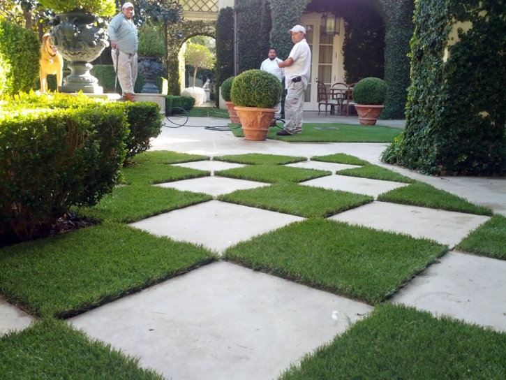 Fake Grass Carpet Collierville, California Landscaping Business, Pavers