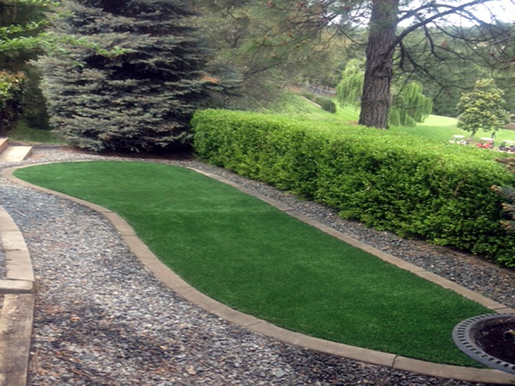 Fake Grass Carpet Davis, California Backyard Playground