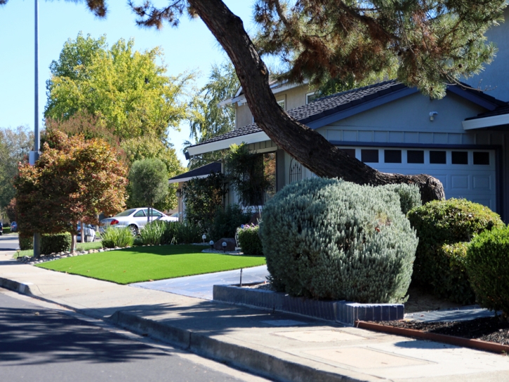 Fake Grass Carpet Diablo, California Home And Garden, Front Yard