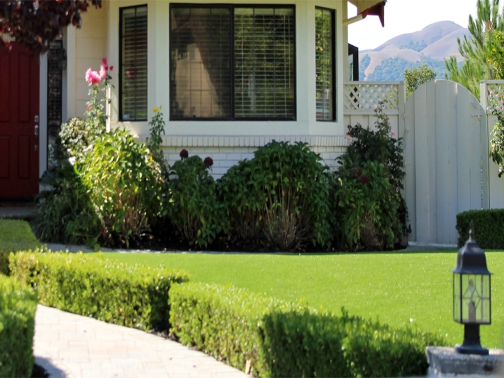 Fake Grass Carpet Discovery Bay, California Lawns, Front Yard Landscaping Ideas