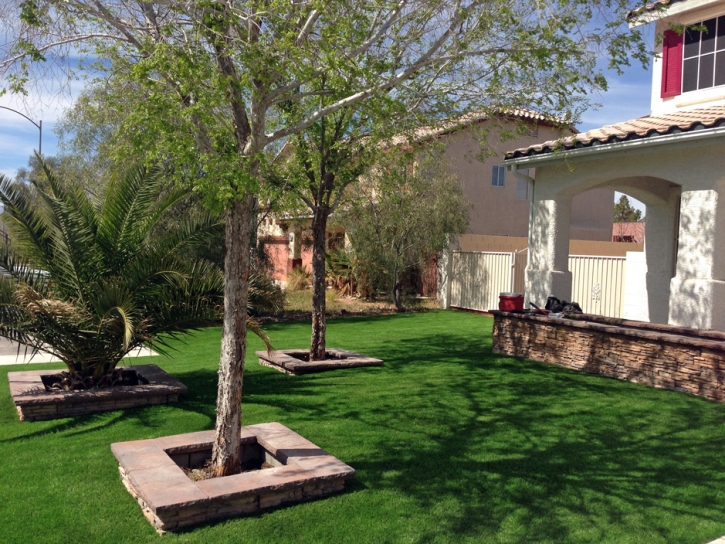 Fake Grass Carpet Esparto, California Backyard Playground, Front Yard