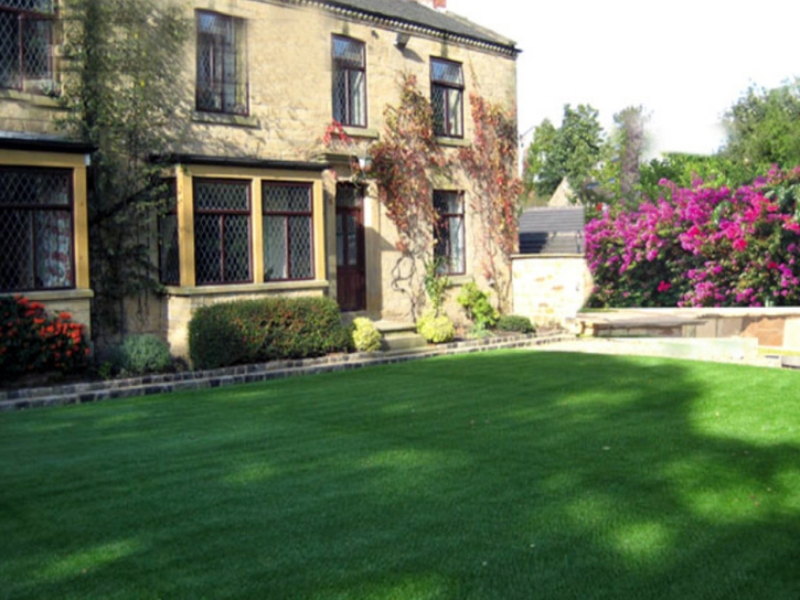 Fake Grass Carpet Las Lomas, California Garden Ideas, Front Yard