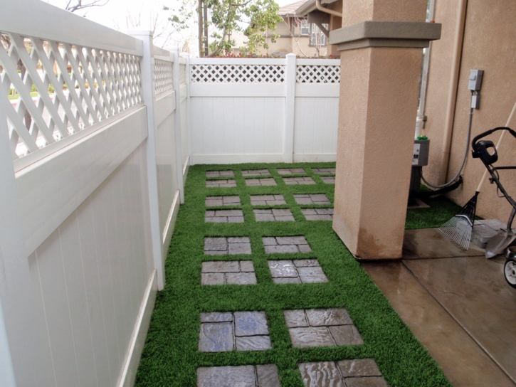 Fake Grass Carpet Novato, California Lawns, Backyard Designs