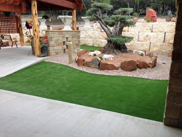 Fake Grass Carpet San Francisco, California Landscape Rock, Backyard Landscaping