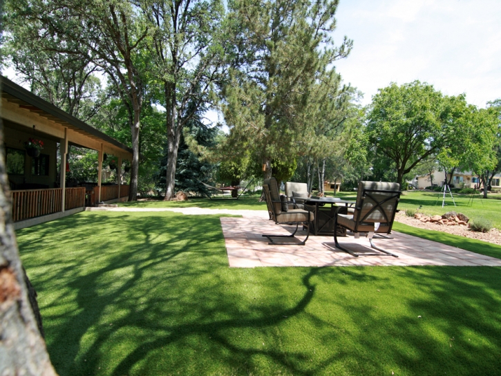 Fake Grass Carpet San Geronimo, California Rooftop, Backyard Landscaping