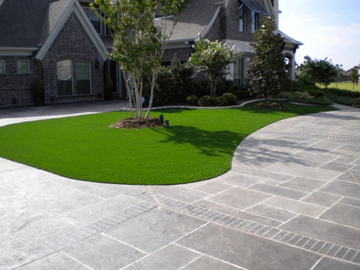 Fake Grass Carpet San Rafael, California Landscaping Business, Front Yard Landscaping Ideas