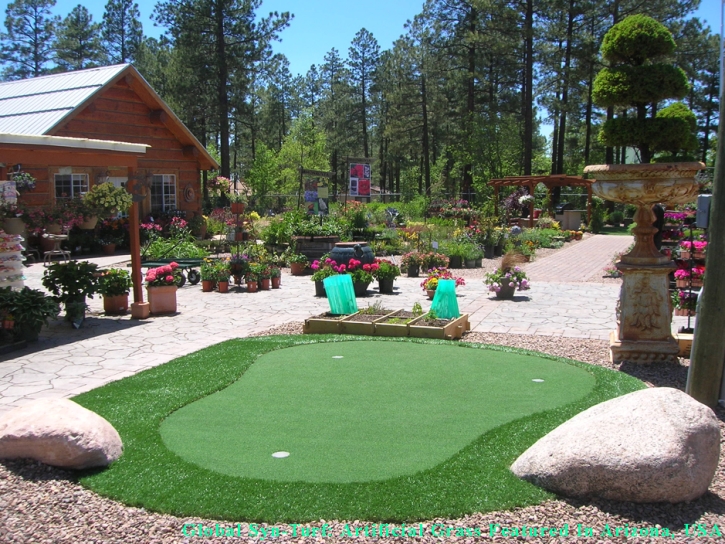 Fake Grass Daly City, California Putting Green Flags, Backyard Designs