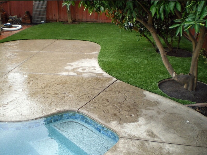 Fake Grass Ladera, California Lawn And Garden, Kids Swimming Pools