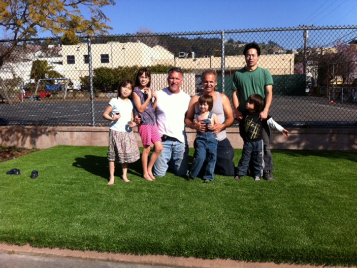 Fake Grass Madison, California Rooftop, Commercial Landscape