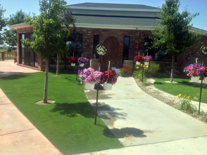 Fake Grass Temelec, California Landscaping Business, Commercial Landscape