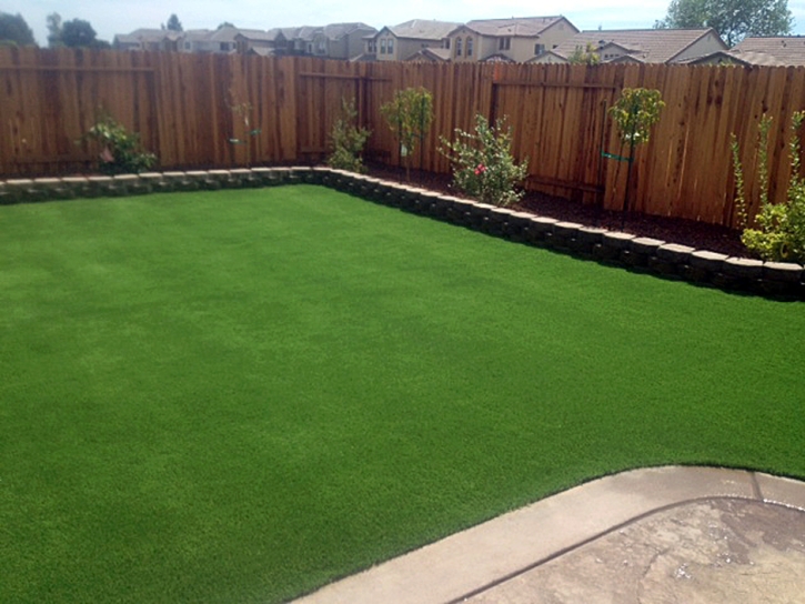 Fake Grass Twin Lakes, California Lawn And Garden, Backyard Landscape Ideas