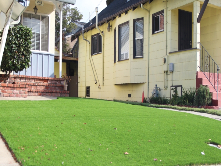 Fake Lawn Albany, California Landscape Rock, Landscaping Ideas For Front Yard