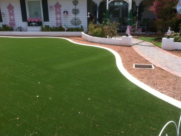 Fake Lawn Black Point-Green Point, California City Landscape, Small Front Yard Landscaping