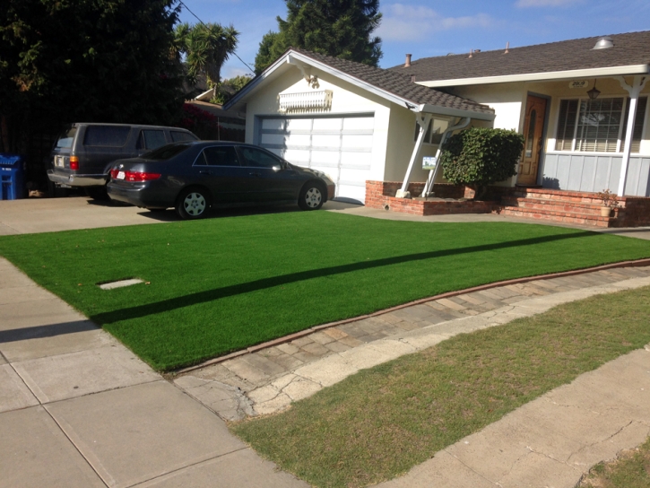 Fake Lawn Cambrian Park, California Lawns, Front Yard Landscape Ideas