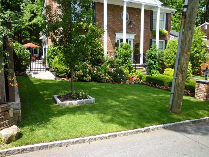 Fake Lawn Clarksburg, California Backyard Playground, Front Yard Design