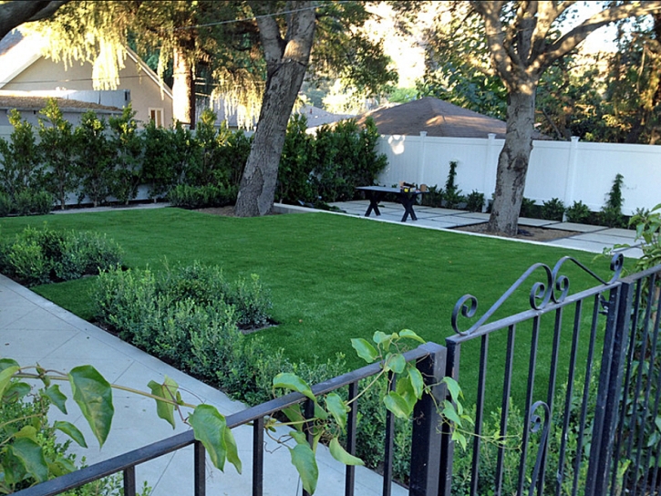 Fake Lawn Larkspur, California Lawn And Garden, Front Yard Landscape Ideas