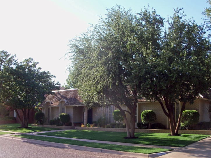 Fake Lawn Menlo Park, California Gardeners, Front Yard Landscape Ideas