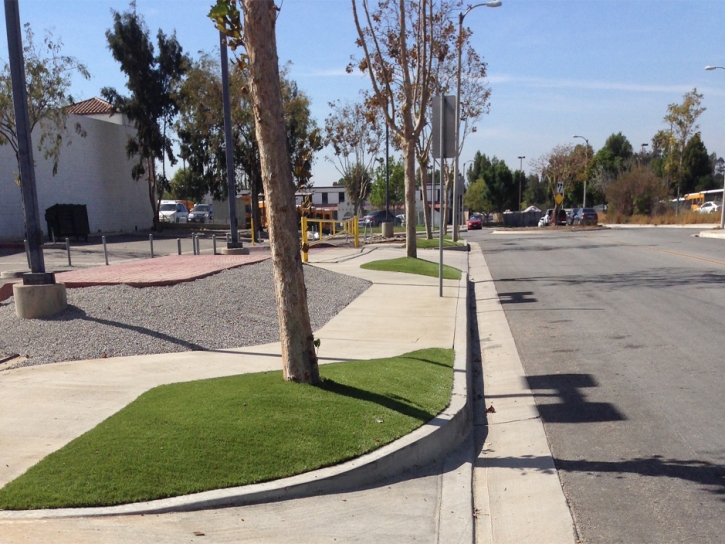 Fake Lawn Middletown, California Landscape Ideas, Commercial Landscape