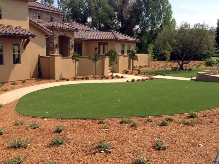 Fake Lawn Saratoga, California Landscape Photos, Landscaping Ideas For Front Yard