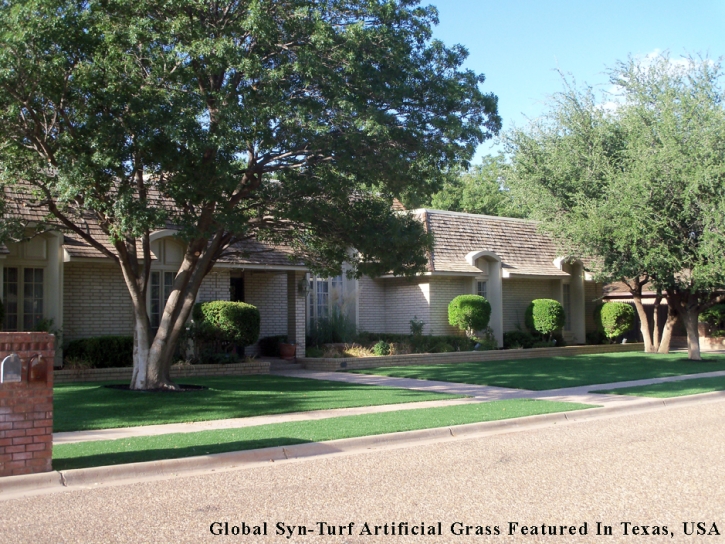 Fake Turf Alto, California Landscape Design, Front Yard Landscaping