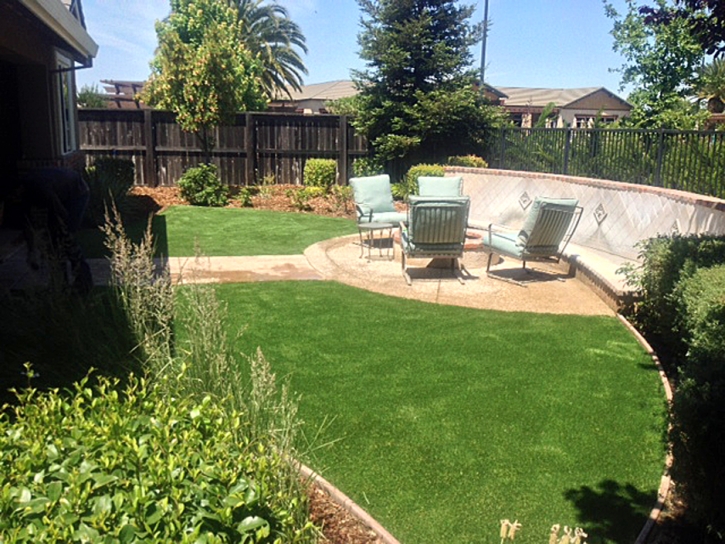 Fake Turf Aptos, California Lawns, Backyard