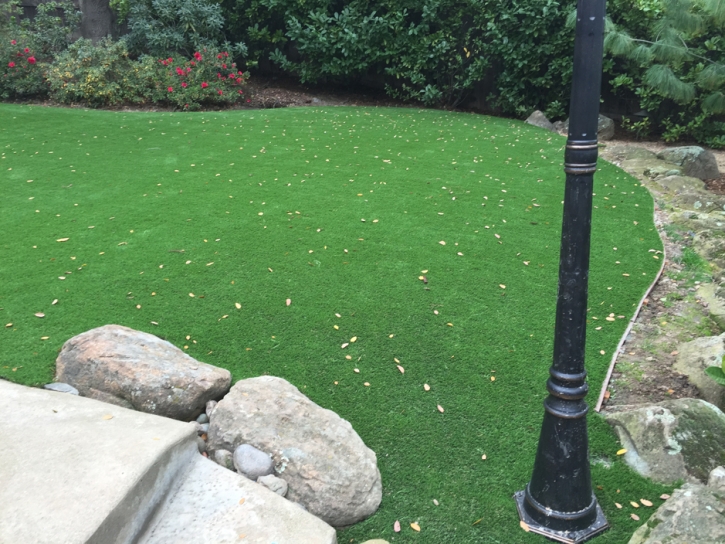 Fake Turf Brentwood, California Garden Ideas, Backyard Ideas