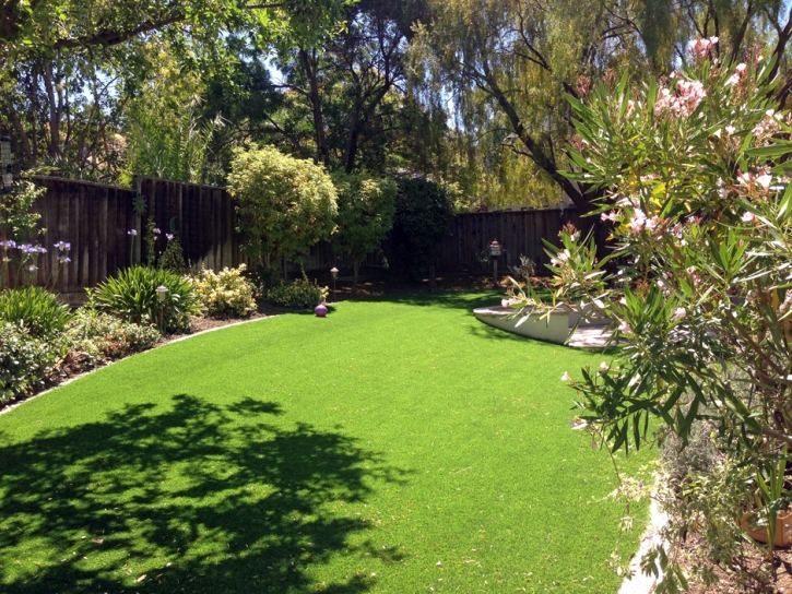 Fake Turf Diablo, California Home And Garden, Small Backyard Ideas