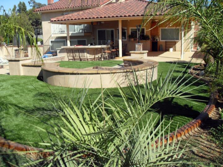 Fake Turf Diablo, California Landscape Design, Backyard Garden Ideas