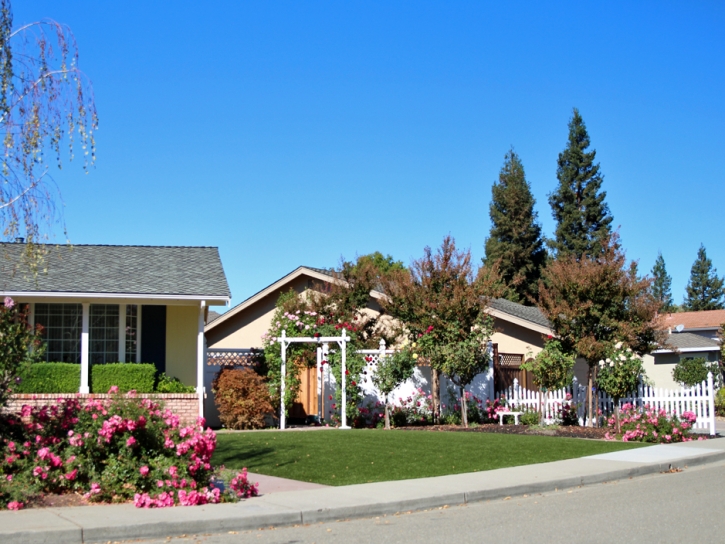 Fake Turf Eldridge, California Paver Patio, Front Yard Design