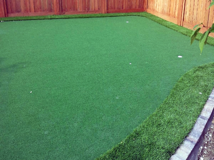 Fake Turf Florin, California How To Build A Putting Green, Backyard Ideas