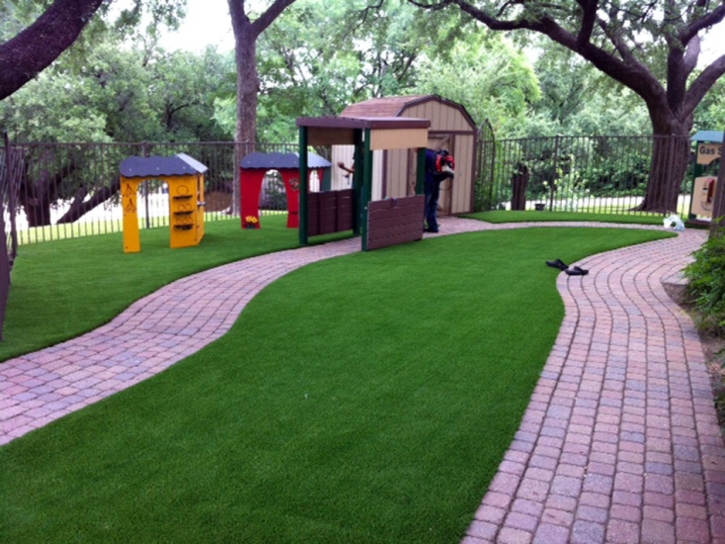 Fake Turf Palo Alto, California Design Ideas, Commercial Landscape