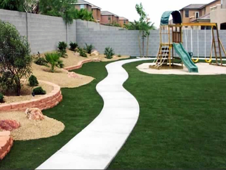 Fake Turf Ripon, California Backyard Playground, Backyard Landscaping