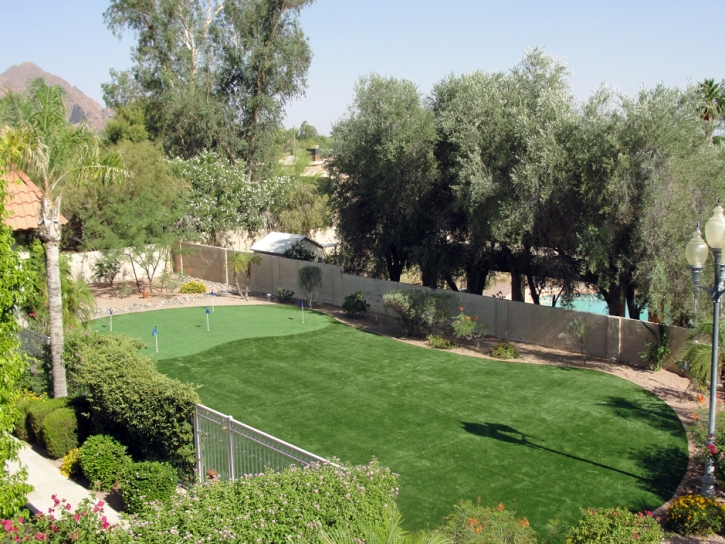 Faux Grass Dixon, California Indoor Putting Greens, Backyard