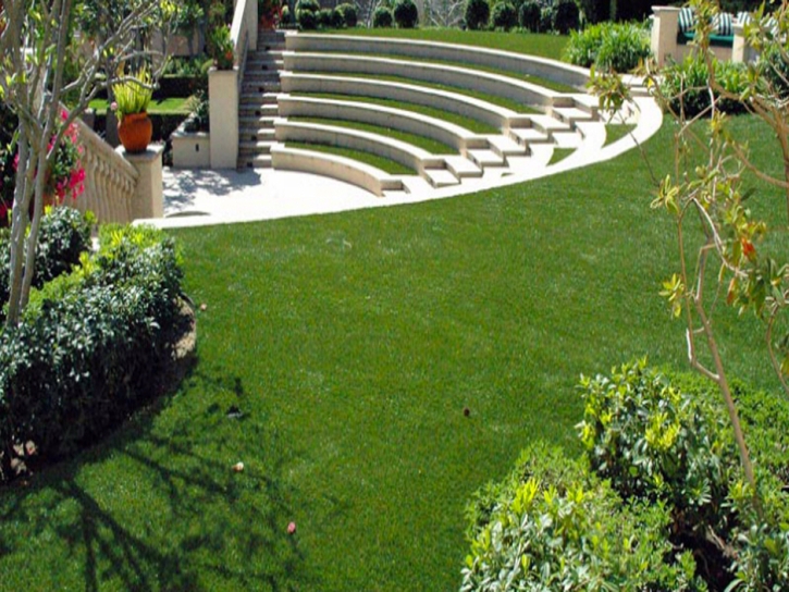 Faux Grass Franklin, California Design Ideas