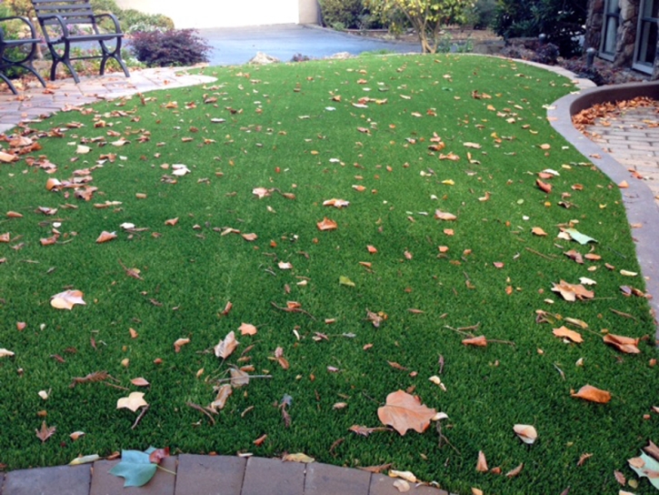 Faux Grass Freedom, California Home And Garden, Front Yard Design