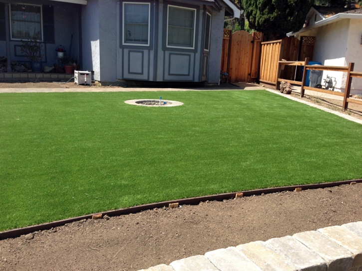 Faux Grass Fulton, California Backyard Deck Ideas, Landscaping Ideas For Front Yard