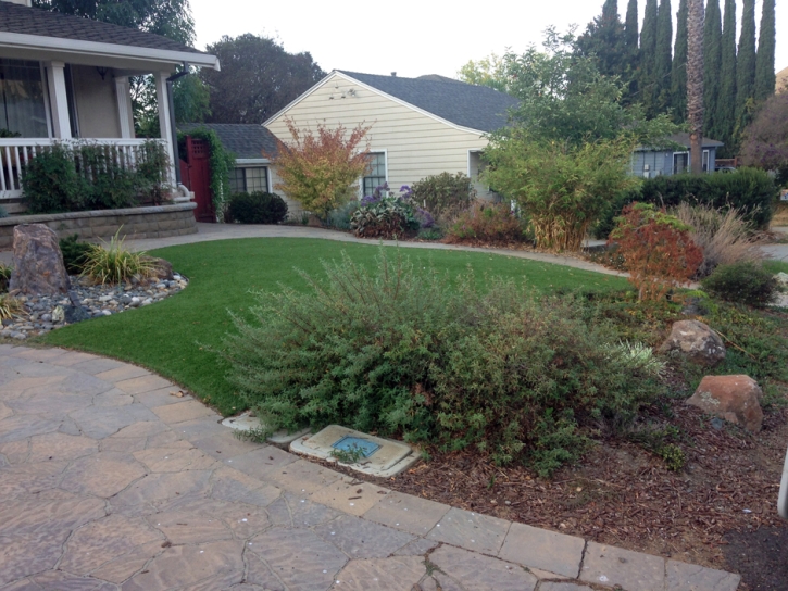 Faux Grass Guerneville, California Landscape Photos, Front Yard Landscaping