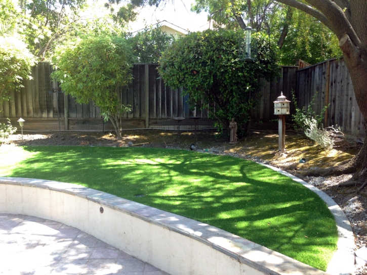 Faux Grass Hartley, California Lawn And Garden, Commercial Landscape