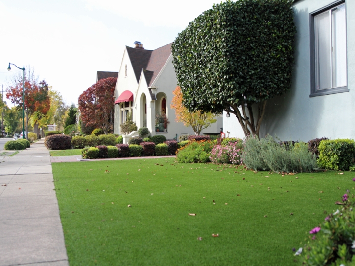 Faux Grass Kensington, California Lawn And Garden, Small Front Yard Landscaping