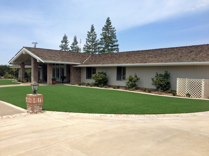 Faux Grass Los Gatos, California Landscaping, Front Yard Landscaping Ideas