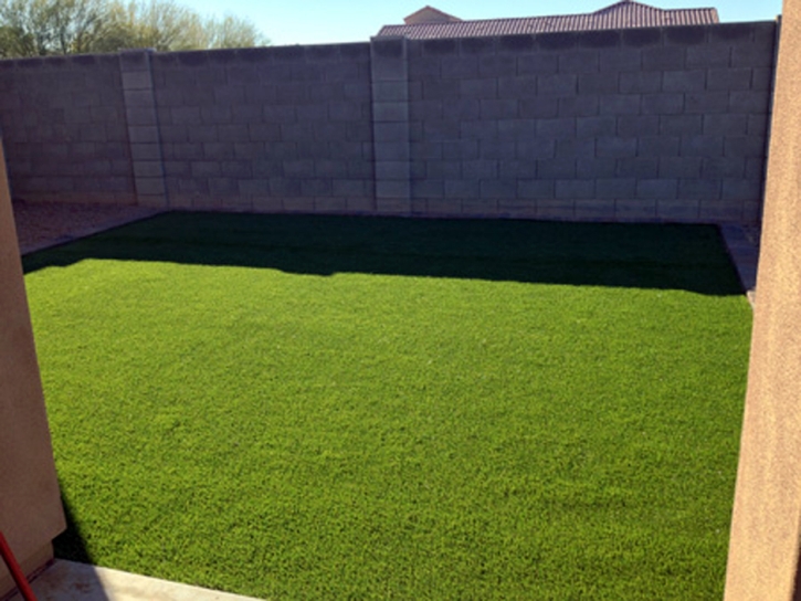 Faux Grass Ross, California Backyard Playground, Backyard Landscaping