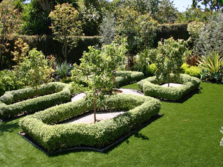 Faux Grass Saranap, California Landscaping