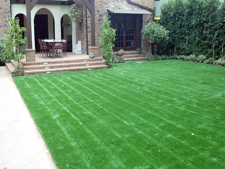 Faux Grass Tracy, California Home And Garden, Front Yard Ideas