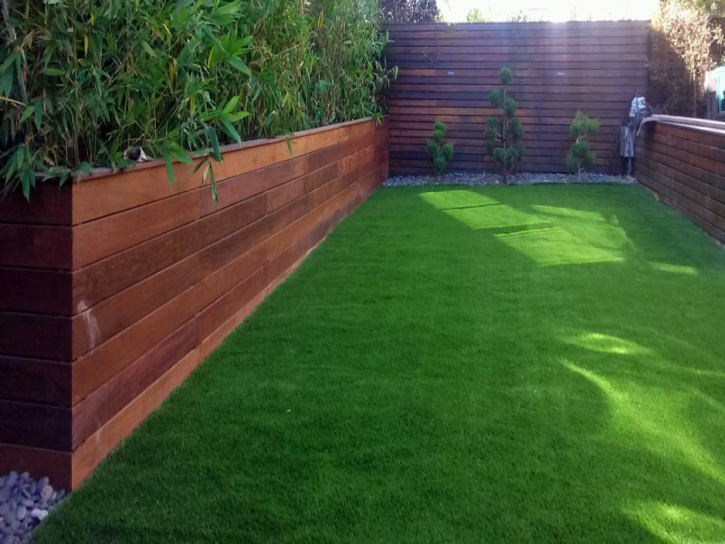 Grass Carpet August, California Home And Garden, Backyard Landscaping