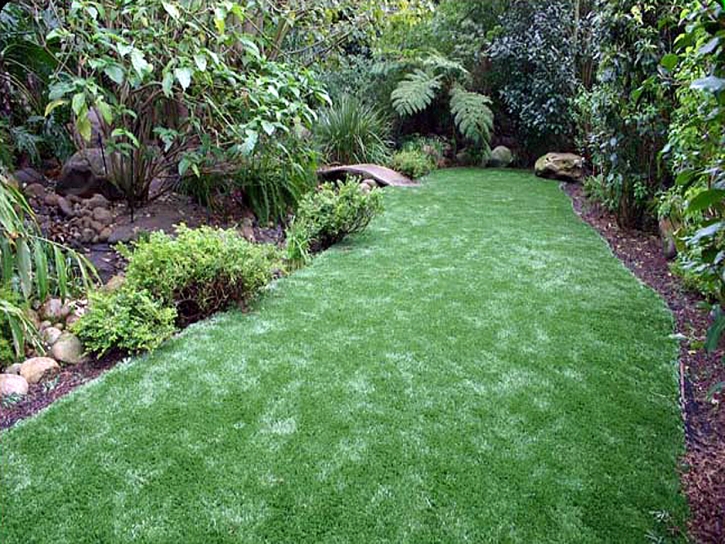 Grass Carpet Castro Valley, California Landscape Design, Backyard Garden Ideas