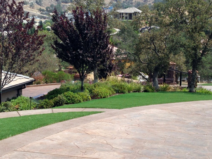 Grass Carpet Cupertino, California Roof Top, Front Yard Ideas