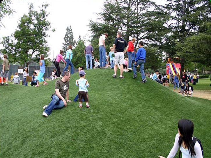 Grass Carpet El Granada, California Landscape Photos, Recreational Areas